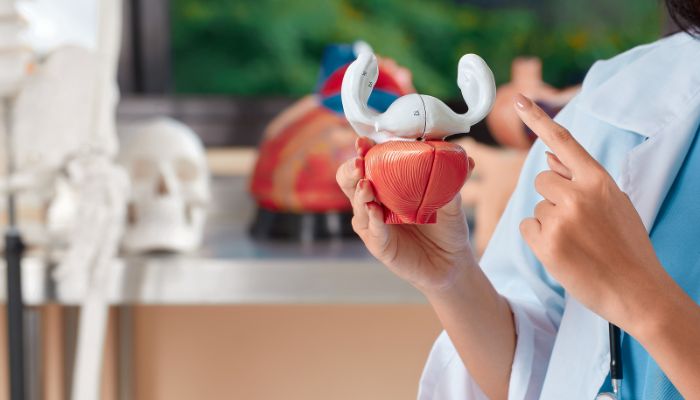 Urological Cancer Treatment