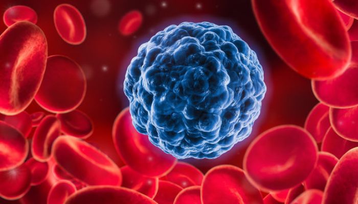 Haematological Malignancies Treatment